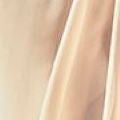 Knot Detail Maxi Dress in Champagne